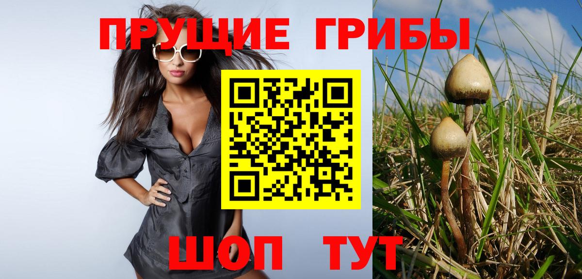 хочу наркоту  Галлюциногенные грибы GOLDEN TEACHER  Фурманов  Вход с VPN  Галлюциногенные грибы Psilocybine cubensis 